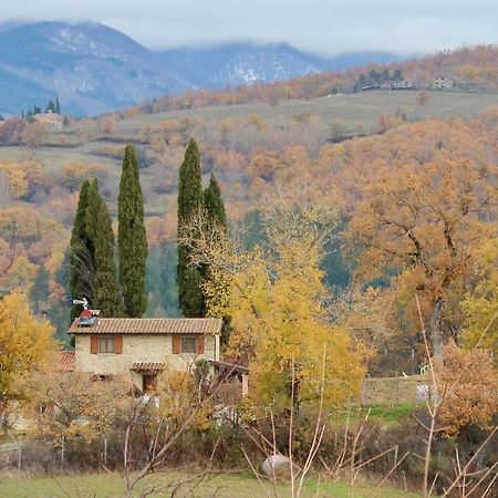 Agriturismo Mandrioli ปราโตแวคคิโอ ภายนอก รูปภาพ
