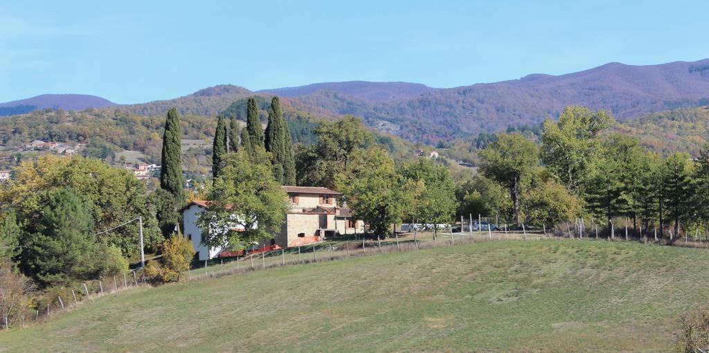 Agriturismo Mandrioli ปราโตแวคคิโอ ภายนอก รูปภาพ